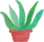 Indoor plant in pot illustration