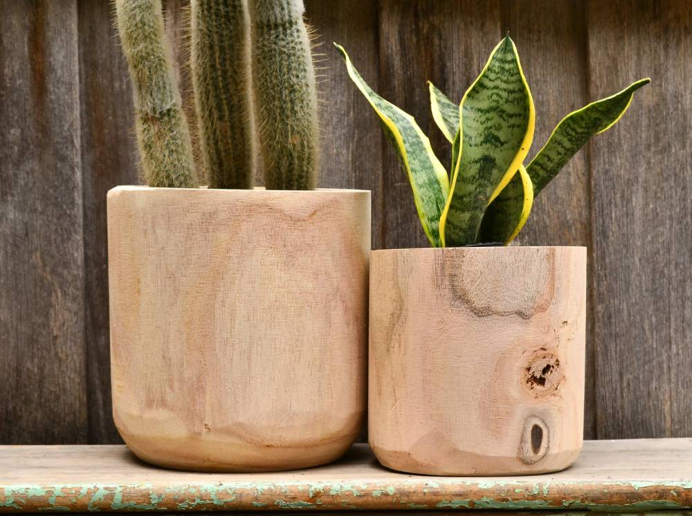 Natural timber plant pots for the home office