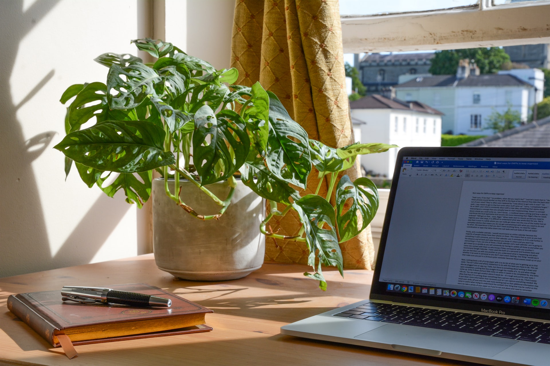 Home office with window and plant